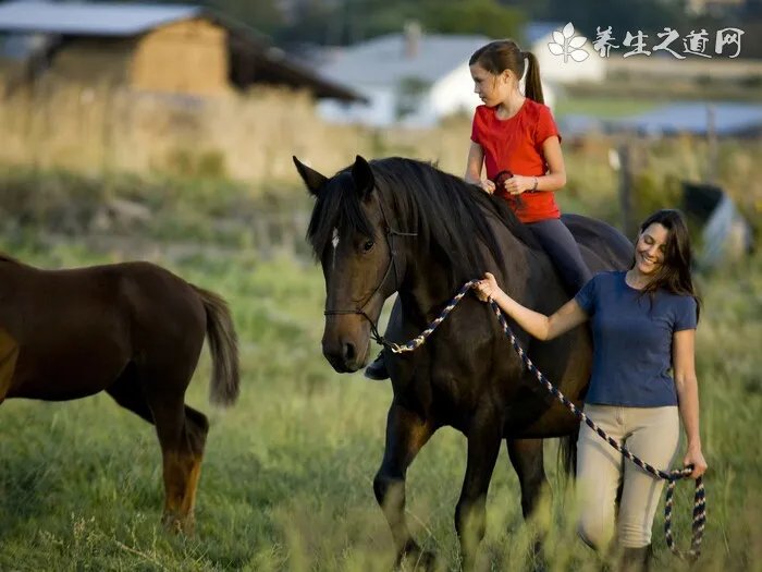 怎样泡玫瑰花茶？玫瑰花茶的10种正确的冲泡方法技巧