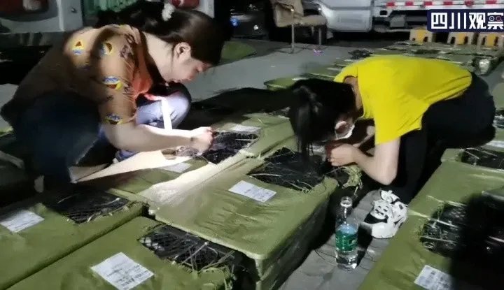 中通快递通报“宠物盲盒”事件,涉事快递公司将面临什么惩罚?