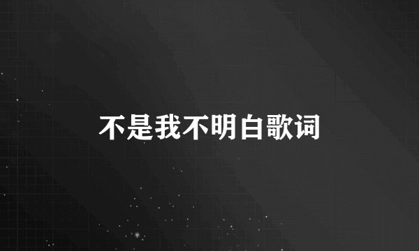 不是我不明白歌词