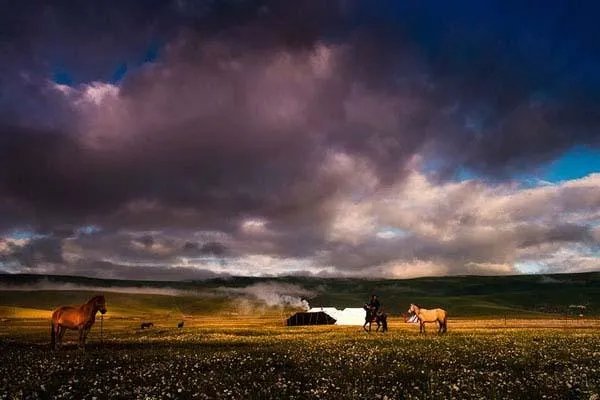 中国哪个草原最漂亮？最值得一去？