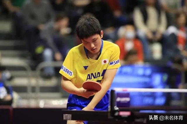 樊振东评价张本智和,称其“非常向上,永远打不服”,是怎么回事?如何评价?