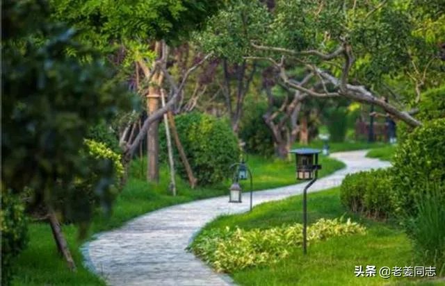 坐标青岛，首付100万内，靠地铁口，环境绿化好一点，主要考虑市南市北李沧，新房二手房都可，有推荐的吗？