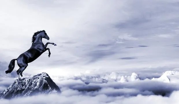 马蹄其实是马的什么 马蹄是马的指甲吗还是脚丫子