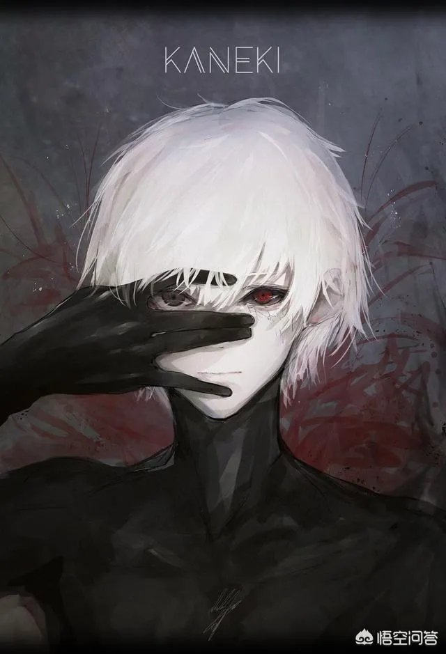 东京食尸鬼哪里可以看