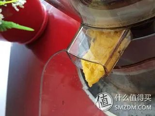 中了电视购物的毒！HUROM 韩国惠人 HU-500DG 原汁机