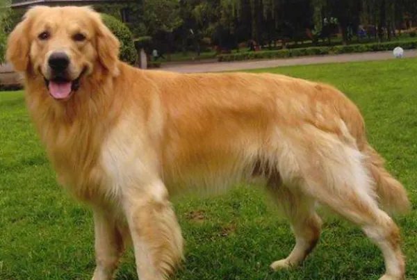 宝贝感受到它在爱你吗