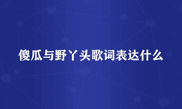 傻瓜与野丫头歌词表达什么