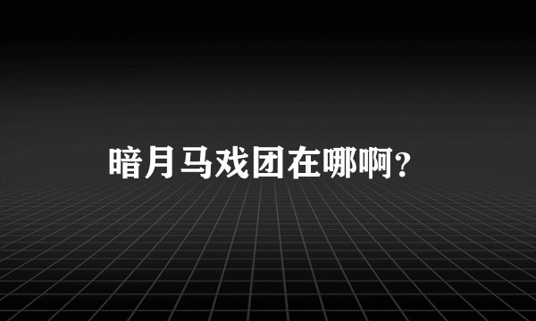 暗月马戏团在哪啊？