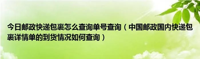 今日邮政快递包裹怎么查询单号查询（中国邮政国内快递包裹详情单的到货情况如何查询）