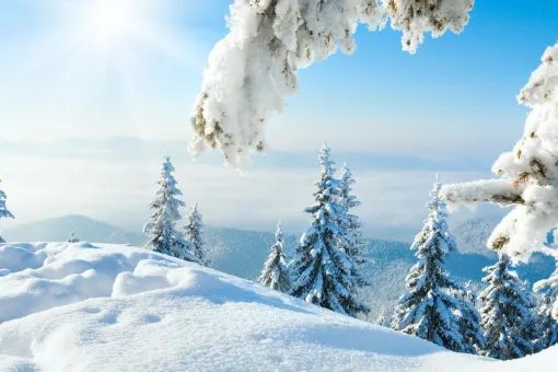 关于冬至的说说