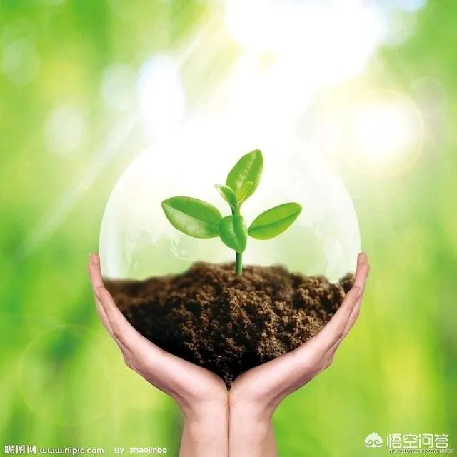 怎样才能不抑郁