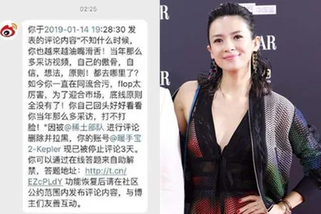 章子怡拉黑粉丝 这次网友站谁