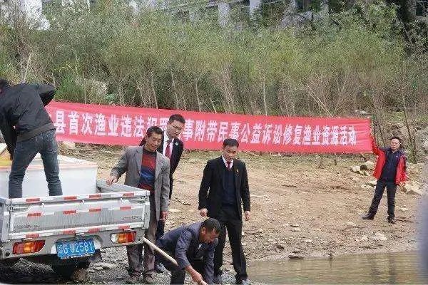 32岁干部制止非法电鱼被刺身亡，非法电鱼会带来哪些危害？