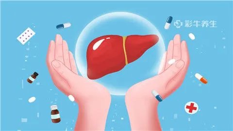 早期肝硬化能活几年