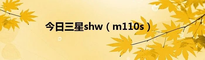 今日三星shw（m110s）