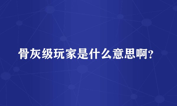 骨灰级玩家是什么意思啊？