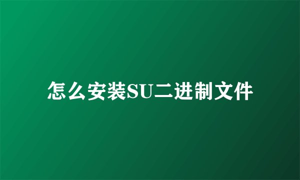 怎么安装SU二进制文件