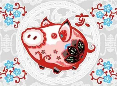 属猪2019年运势运程 生肖猪2019年运势大全