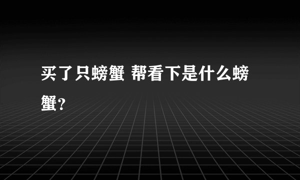 买了只螃蟹 帮看下是什么螃蟹？