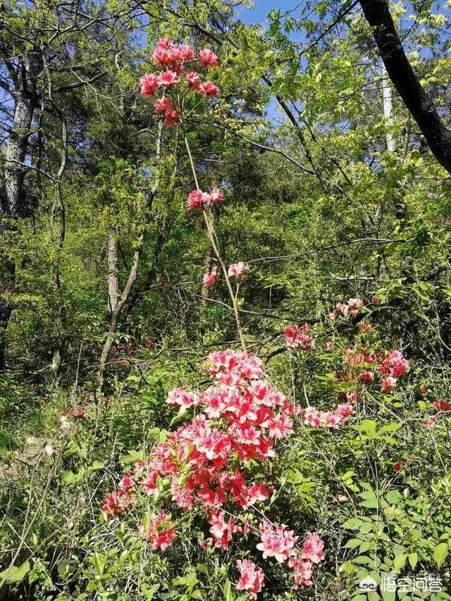 上海出发，二日游乘动车到哪里比较适合？