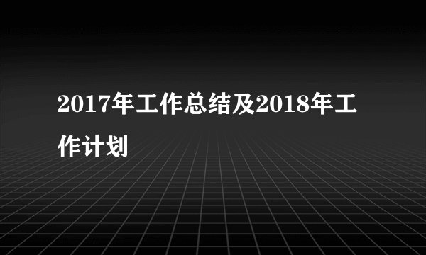 2017年工作总结及2018年工作计划