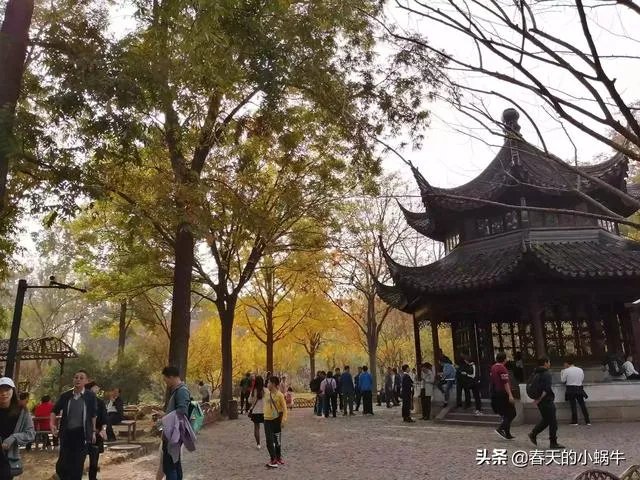 带着梦想去旅游，你想和谁一起？
