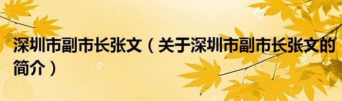 深圳市副市长张文（关于深圳市副市长张文的简介）