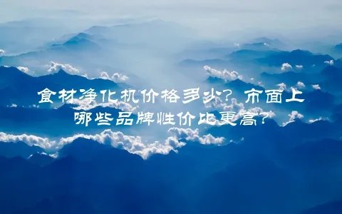 食材净化机价格多少？市面上哪些品牌性价比更高？
