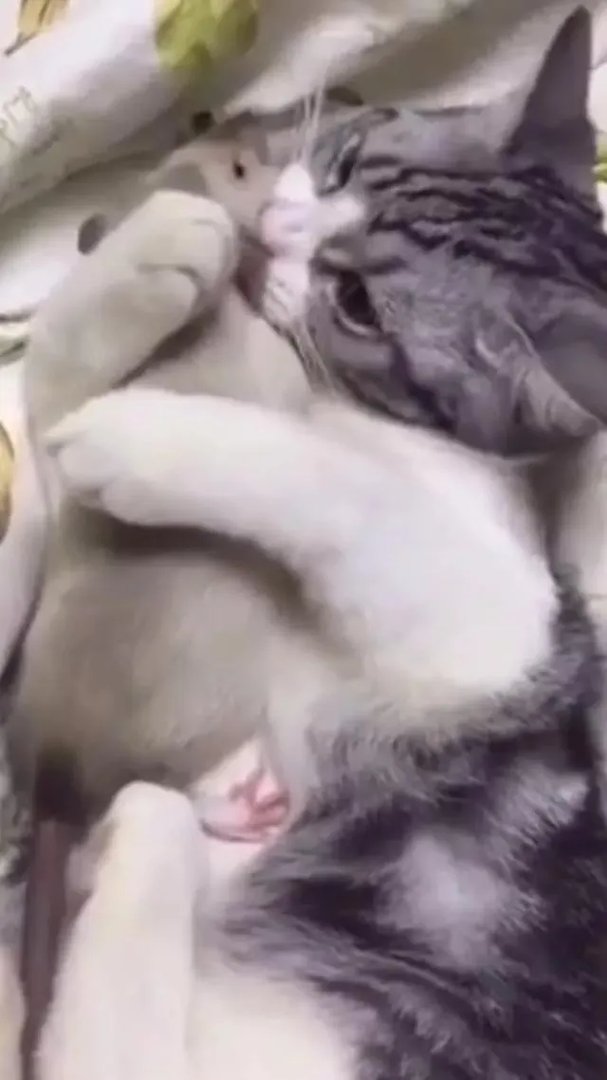 大家觉得日本电视剧《等你说爱我》怎么样?