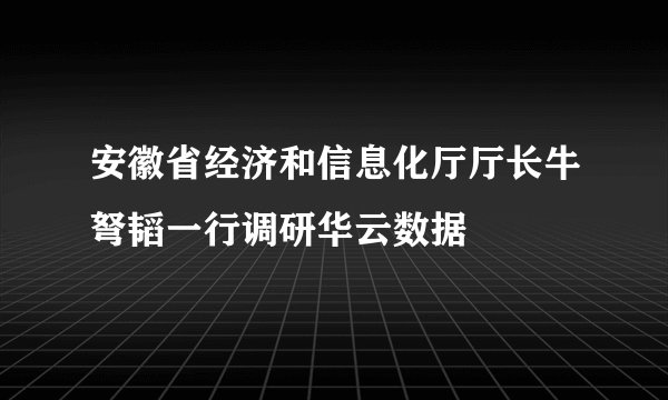 安徽省经济和信息化厅厅长牛弩韬一行调研华云数据