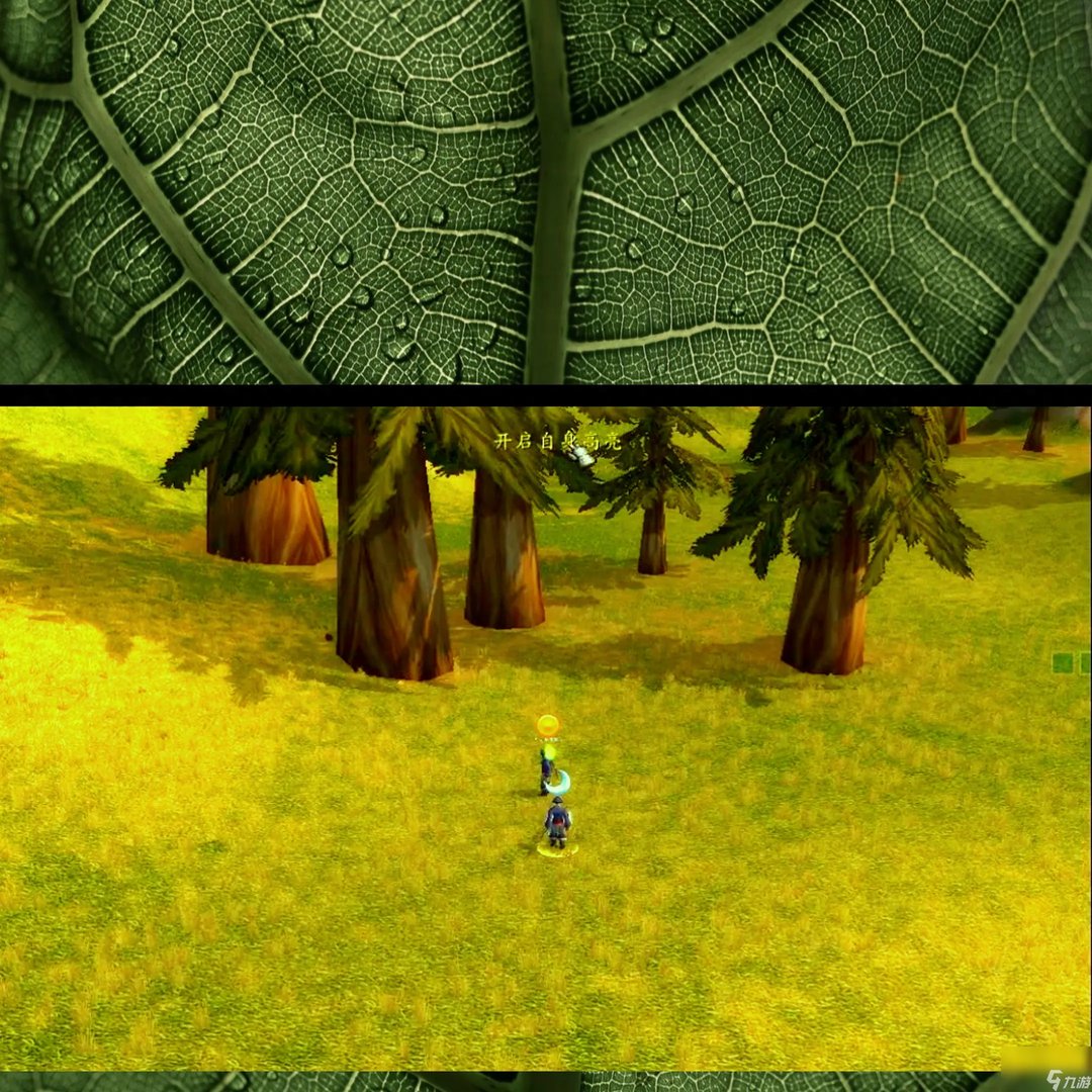 魔兽世界法师焦点宏怎么做 魔兽世界5个实用宏排行榜