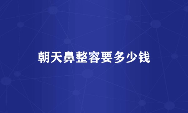 朝天鼻整容要多少钱
