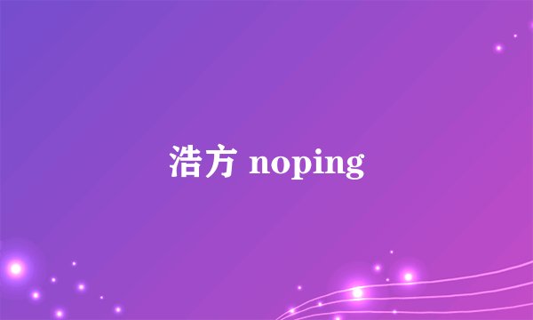 浩方 noping