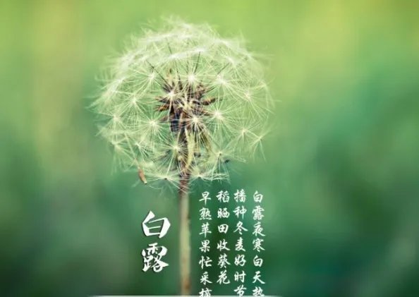 二十四节气图一套 美得令人窒息的二十四节气图