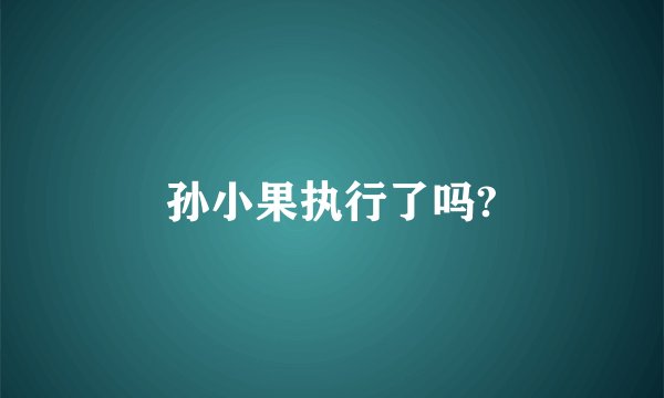 孙小果执行了吗?