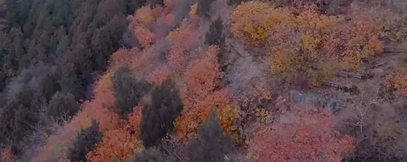 香山在哪里个城市