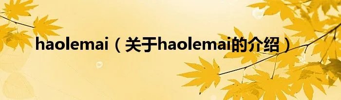 haolemai（关于haolemai的介绍）