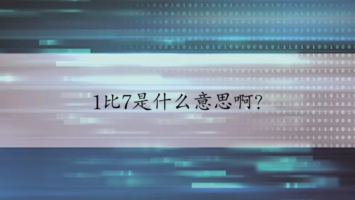 1比7是什么意思啊？