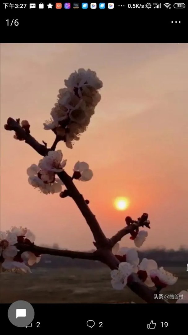 如何看待浙江新增1例本土病例？本土病例如何产生的？