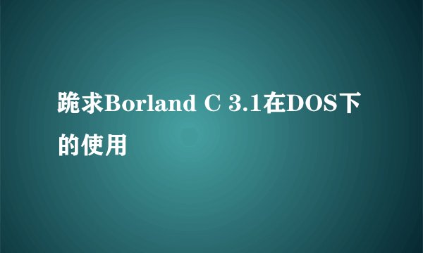 跪求Borland C 3.1在DOS下的使用