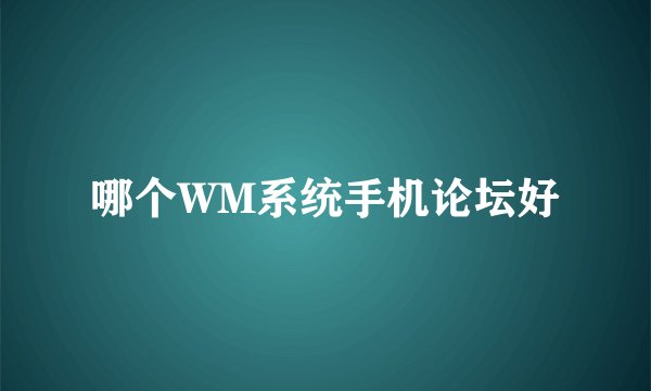哪个WM系统手机论坛好