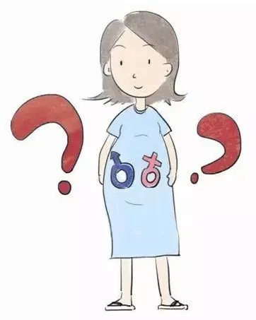 供卵价格-2023年目前国内选卵价格是多少？捐卵需要多少钱