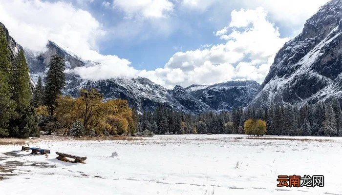 苏炳添老婆简介 苏炳添妻子林艳芳学历
