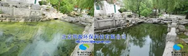 蓝藻爆发的治理措施有哪些?