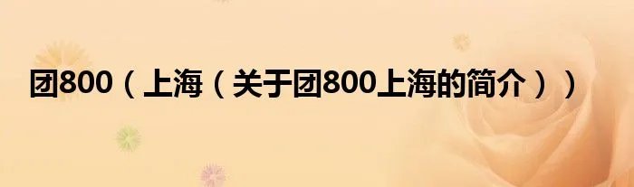 团800（上海（关于团800上海的简介））