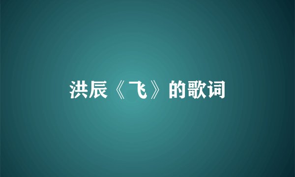 洪辰《飞》的歌词