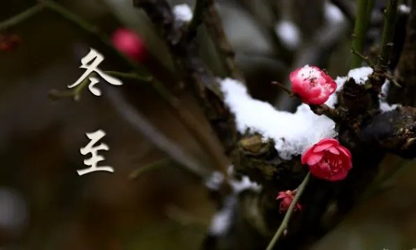 二十四节气图一套 美得令人窒息的二十四节气图