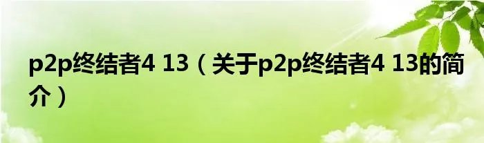 p2p终结者4 13（关于p2p终结者4 13的简介）