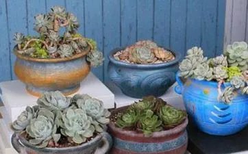 德国哪个品牌菜刀最好 德国菜刀品牌排行榜