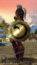 暴雪为国外盾牌收集控玩家设计同名盾牌